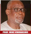 Prof Mike Kwanashie passport